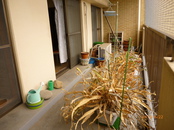 Before