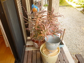 Before